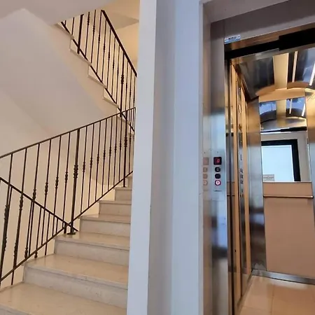 Birds And Sailboats Daire Trieste