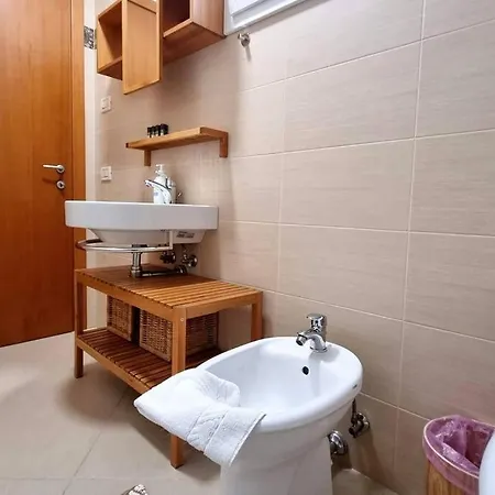 Birds And Sailboats Daire *